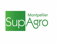 SUP AGRO MONTPELLIER