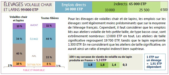 631a036a481c5_62ab23715a934_emplois-lapins.31f8cd9e.png